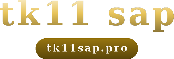 tk11 sap logo